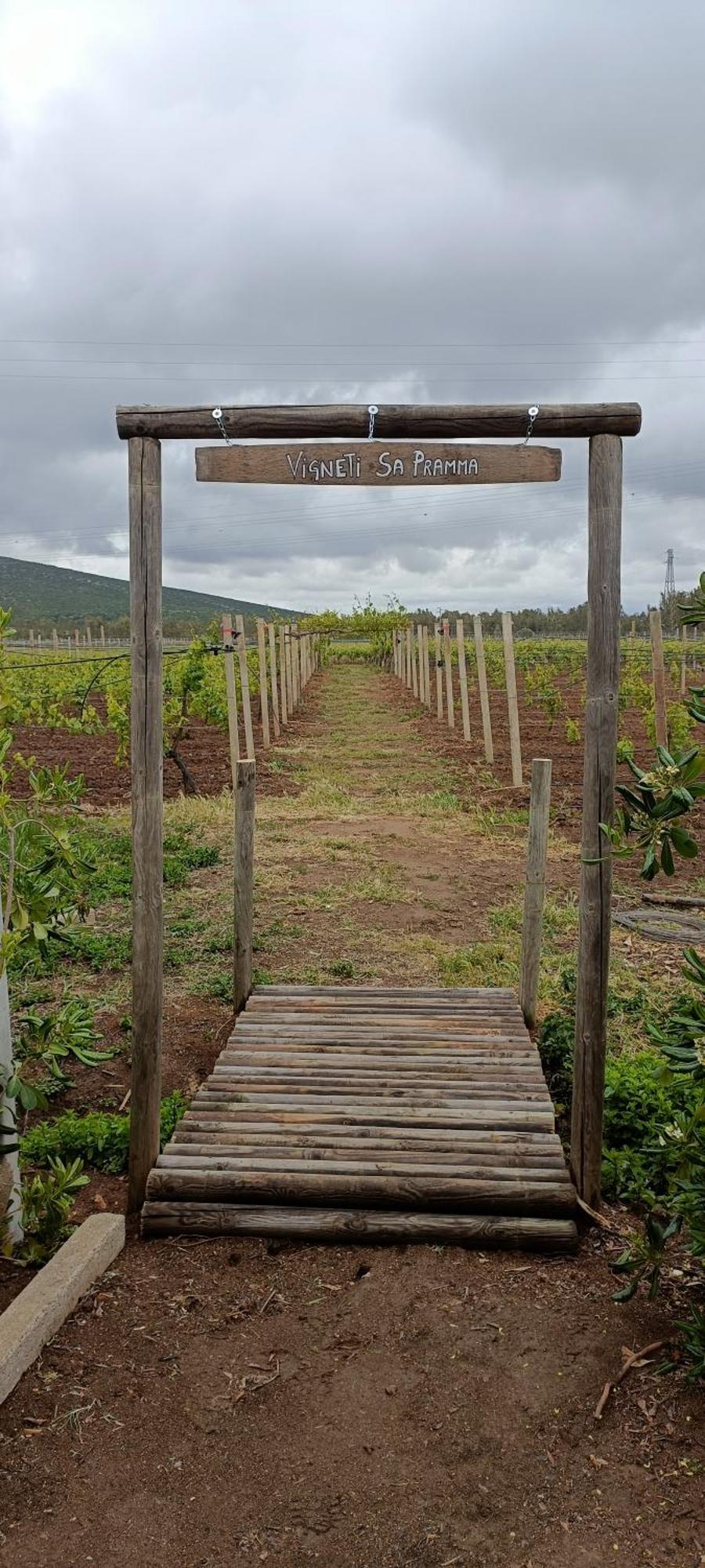 Agriturismo Sa Pramma Santa Maria la Palma Dış mekan fotoğraf