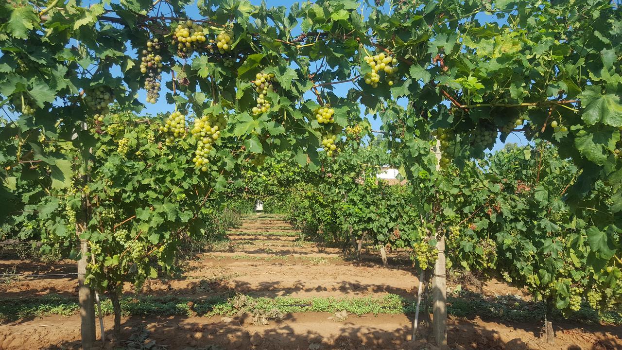 Agriturismo Sa Pramma Santa Maria la Palma Dış mekan fotoğraf